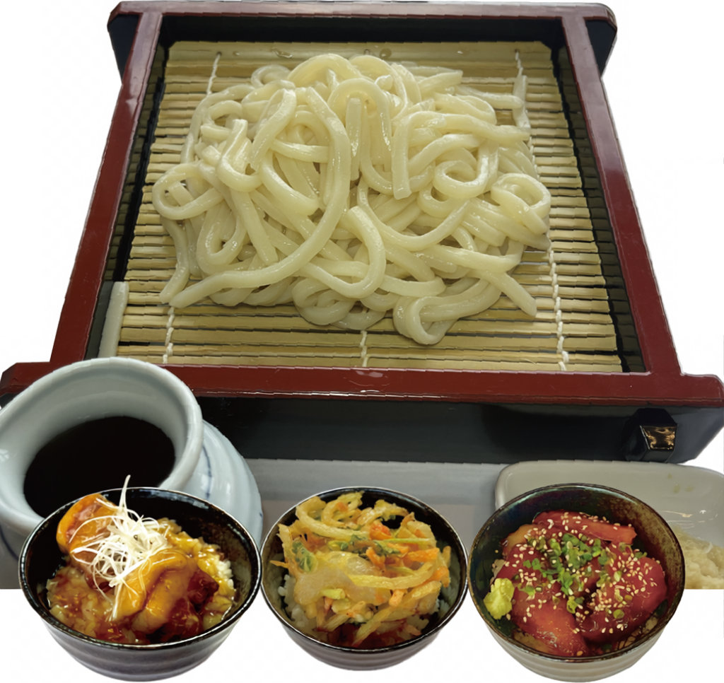 ざるうどんと 選べるミニ丼セット