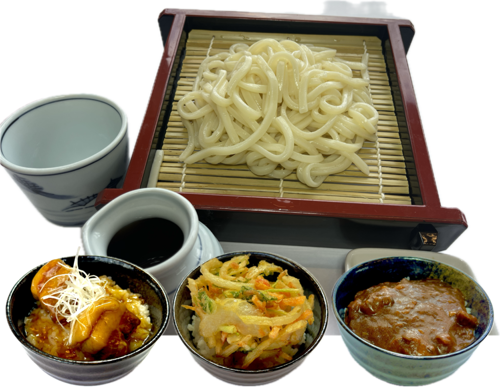 ざるうどんと 選べるミニ丼セット