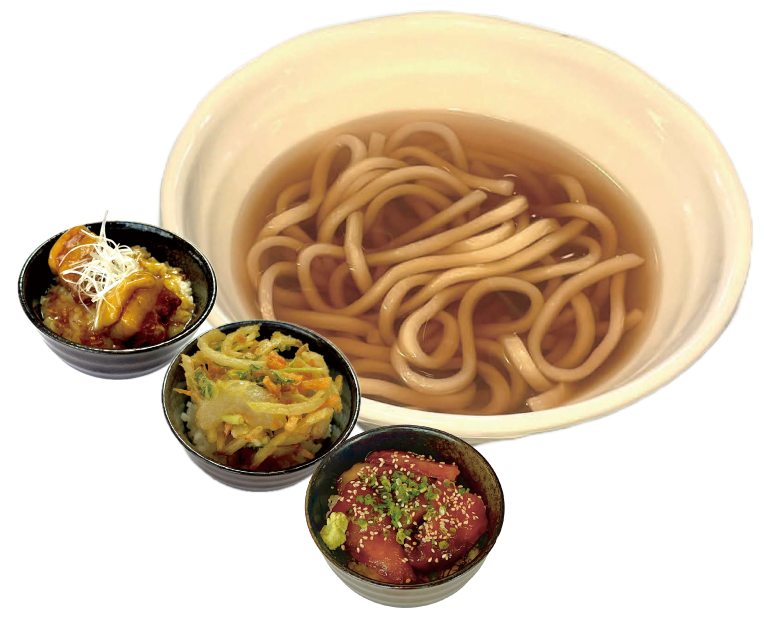 うどんと選べるミニ丼セット